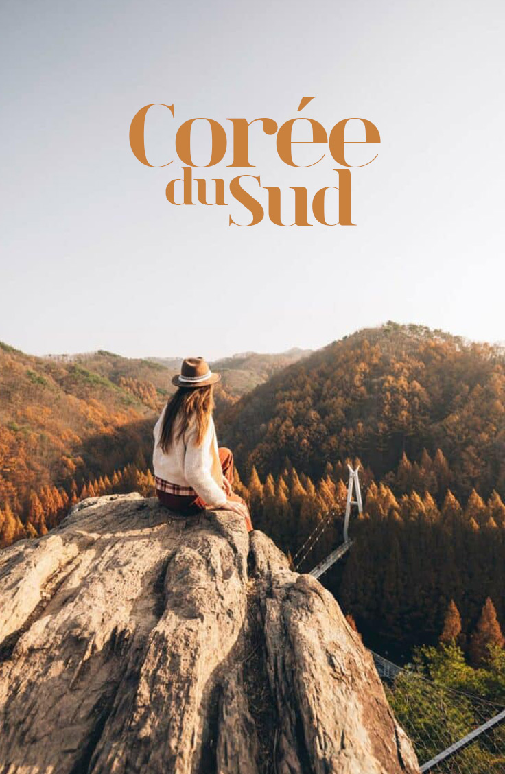Corée du Sud, Blog