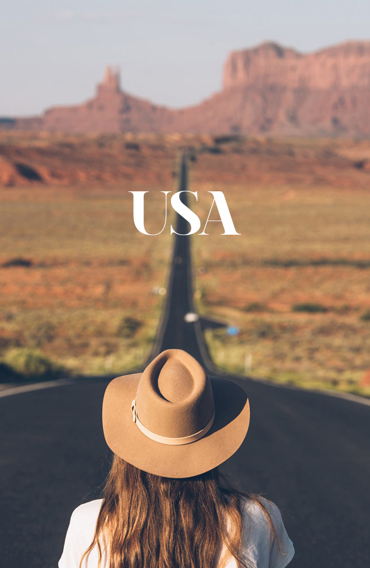 Usa, Blog