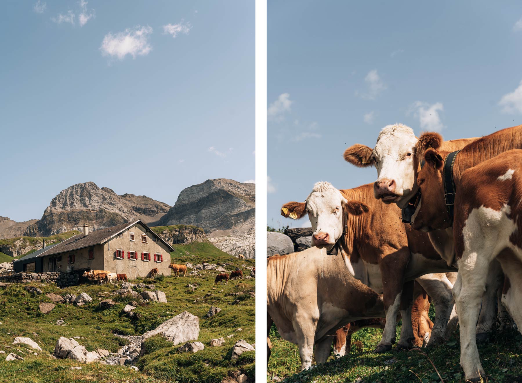 La randonnée d'Anzeindaz, Solalex, Suisse